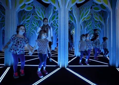 Mirror Mazes — attraction or exhibit image